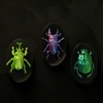 Rhino Beetle Wall Display Figure 2-Pack