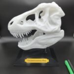 Dinosaur T-Rex Skull with Stand and Name Plate - Home Decor Art - skull replica - t-rex skull - trex skull, skull decor - skull replica